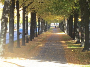 Alle i Göteborg