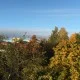 IMG_4428