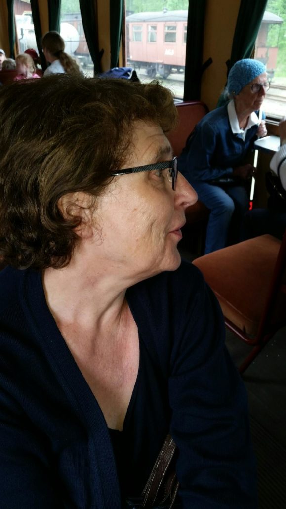 Lena Eilersson var en av föreningens representanter på mötet
